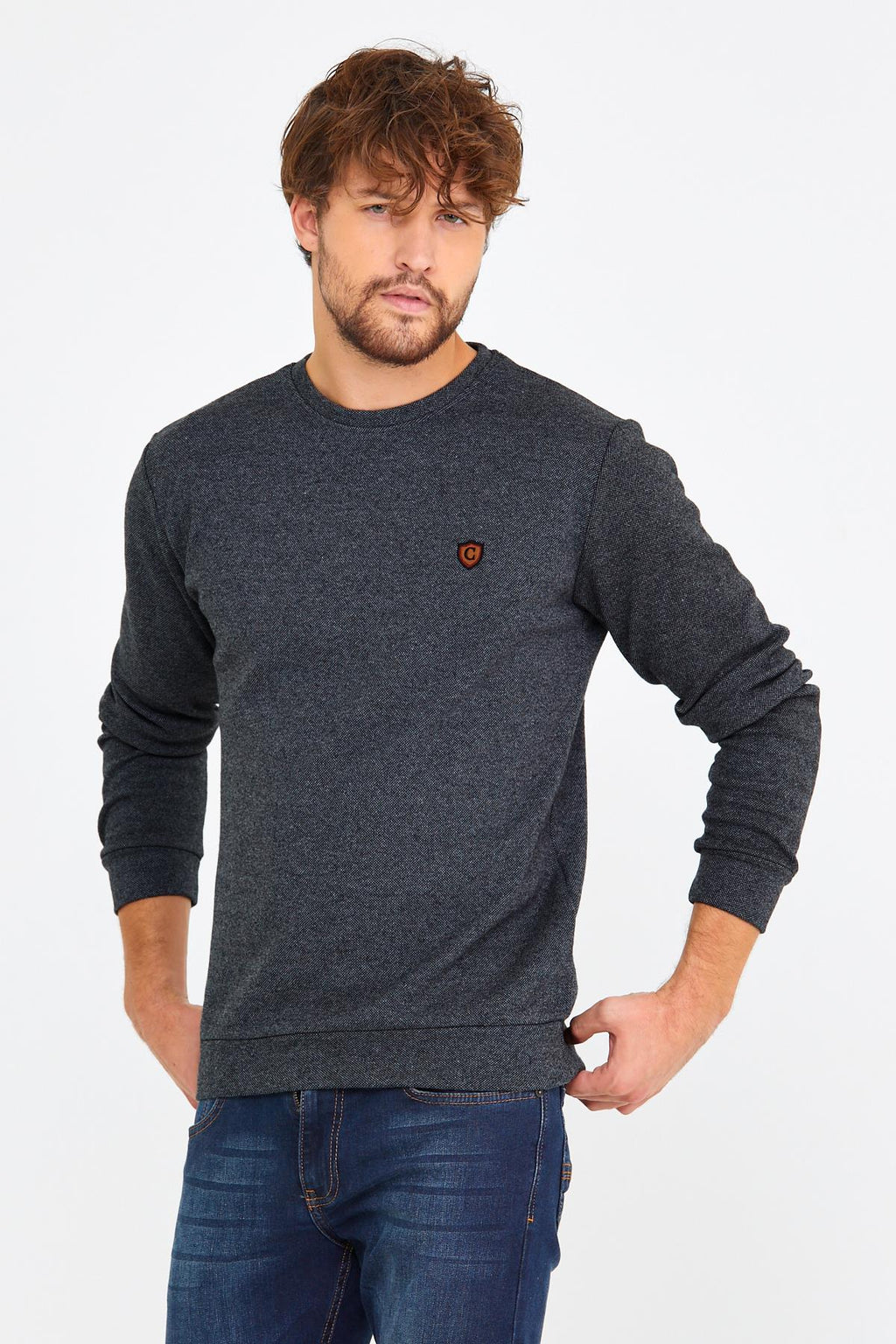 COMEOR Erkek Bisiklet Yaka Göğüs Nakış Detaylı Gri Sweatshirt