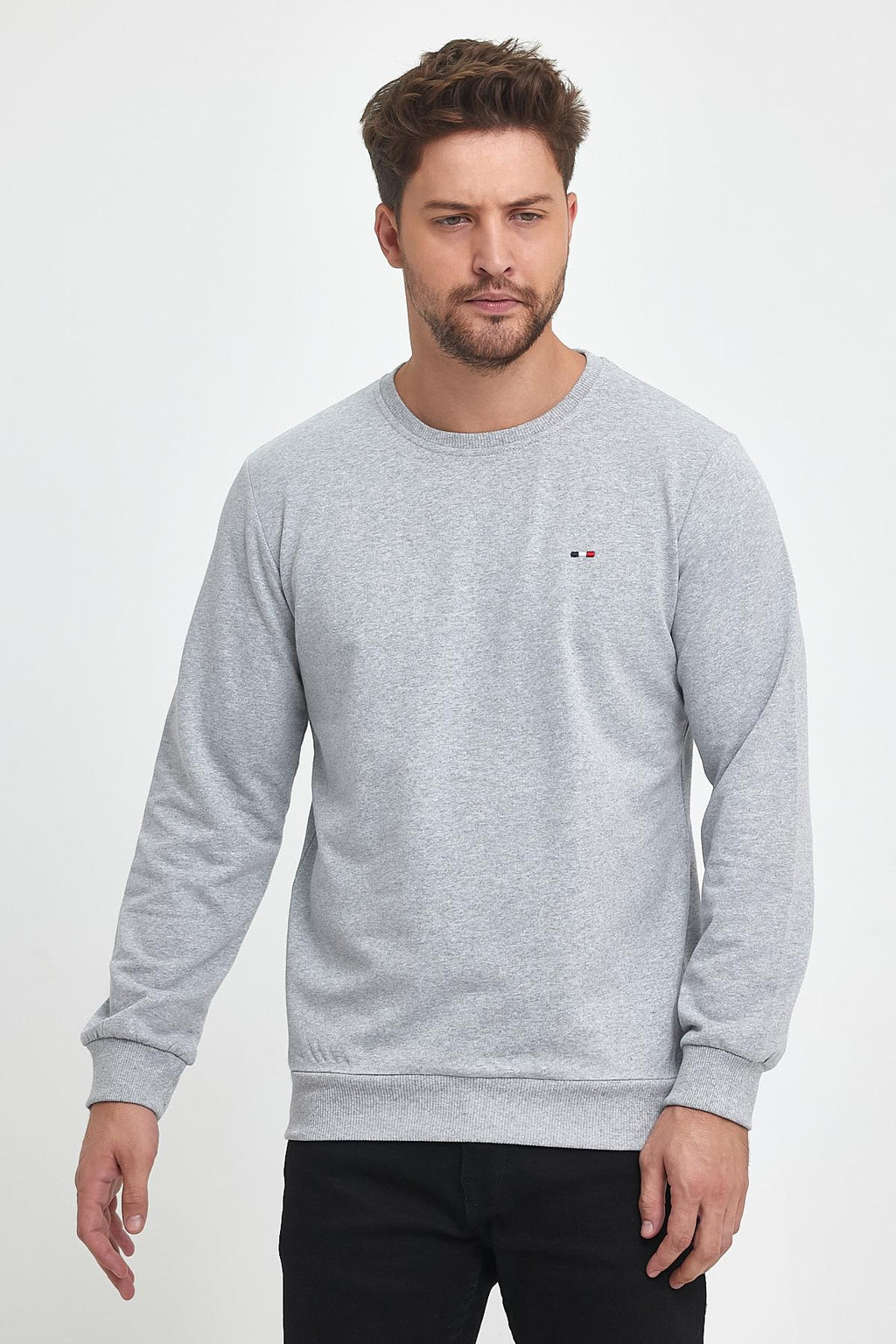 Erkek Gri Bisiklet Yaka Nakış Detaylı Regular Fit Sweatshirt