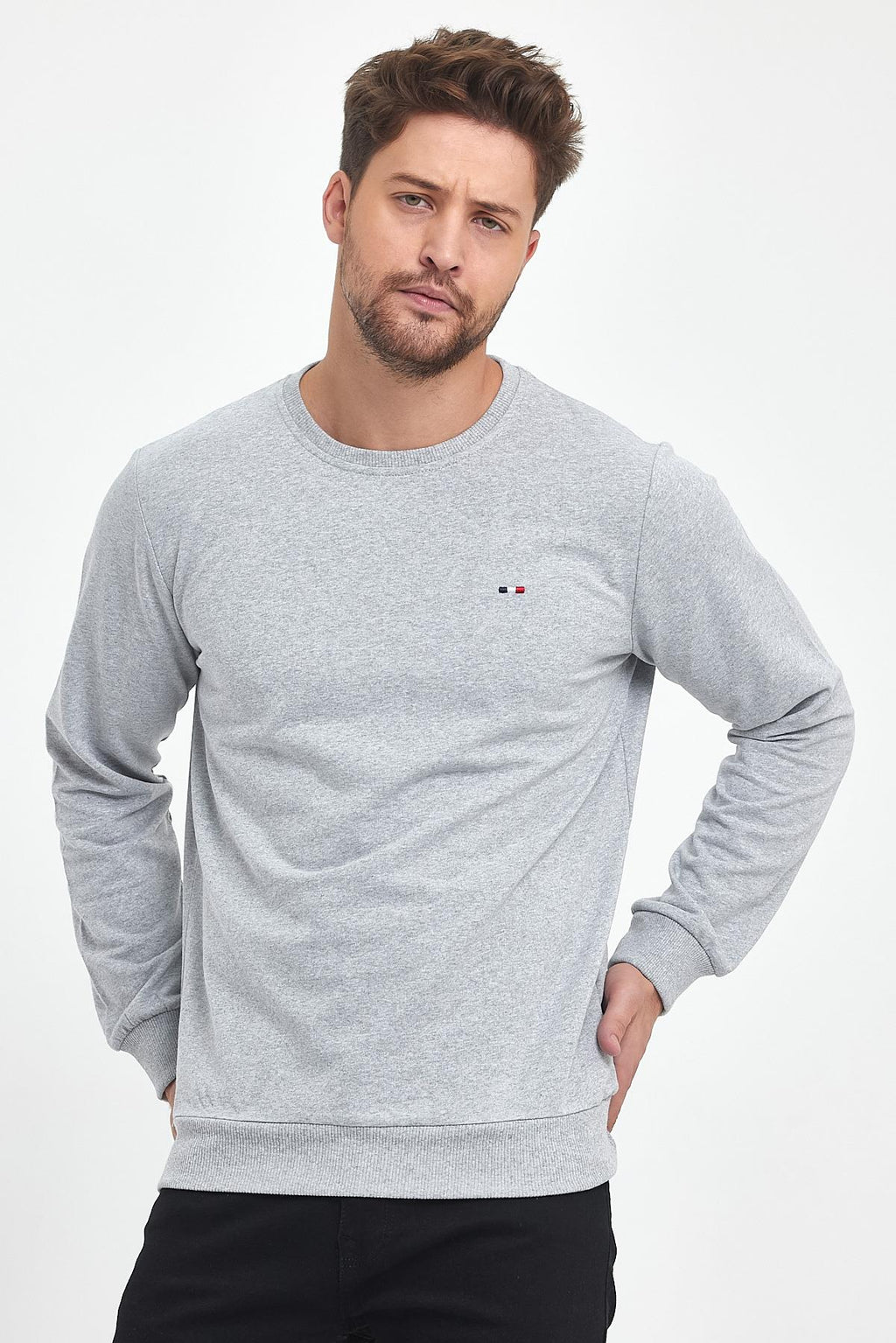 Erkek Gri Bisiklet Yaka Nakış Detaylı Regular Fit Sweatshirt