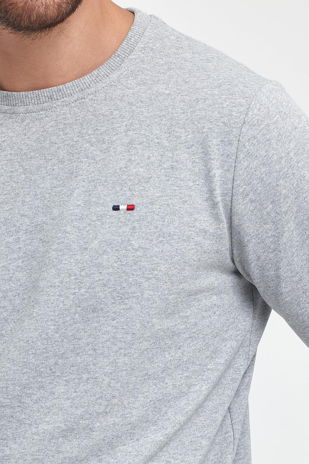 Erkek Gri Bisiklet Yaka Nakış Detaylı Regular Fit Sweatshirt