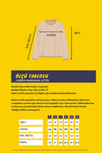 Erkek Gri Bisiklet Yaka Nakış Detaylı Regular Fit Sweatshirt