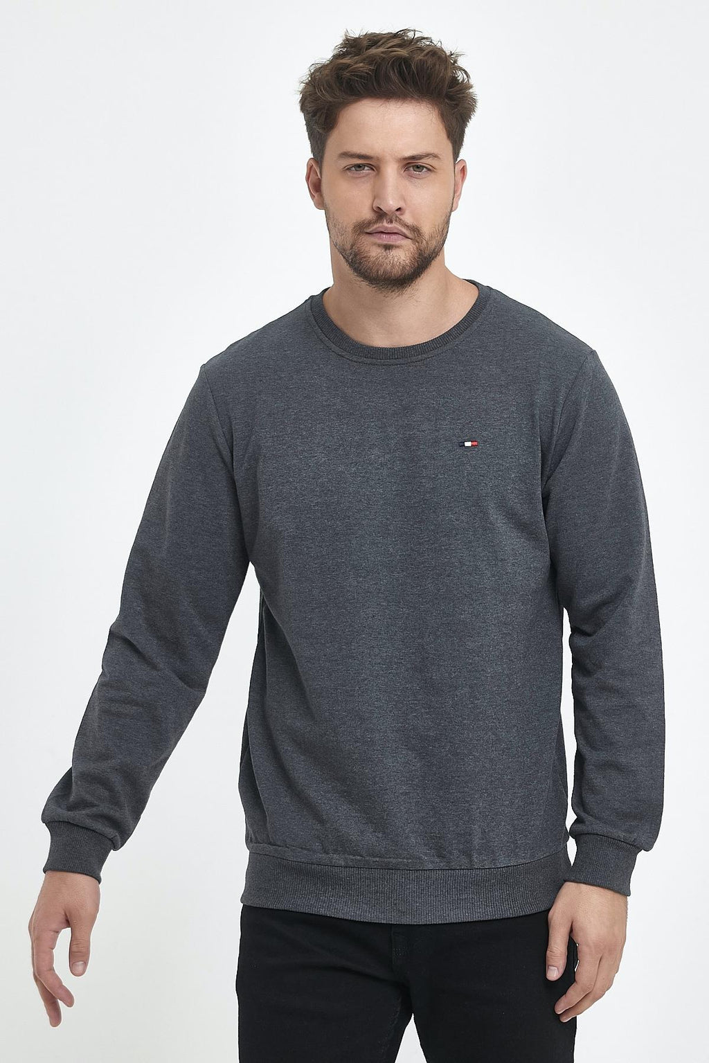 Erkek Antrasit Bisiklet Yaka Nakış Detaylı  Regular Fit Sweatshirt CMRE70