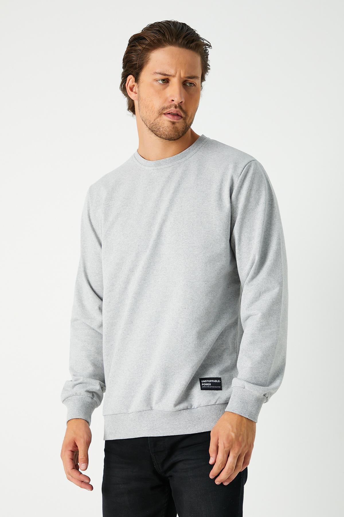 Erkek Gri Basic Bisiklet Yaka Regular Fit Normal Kesim 2 İplik Sweatshirt