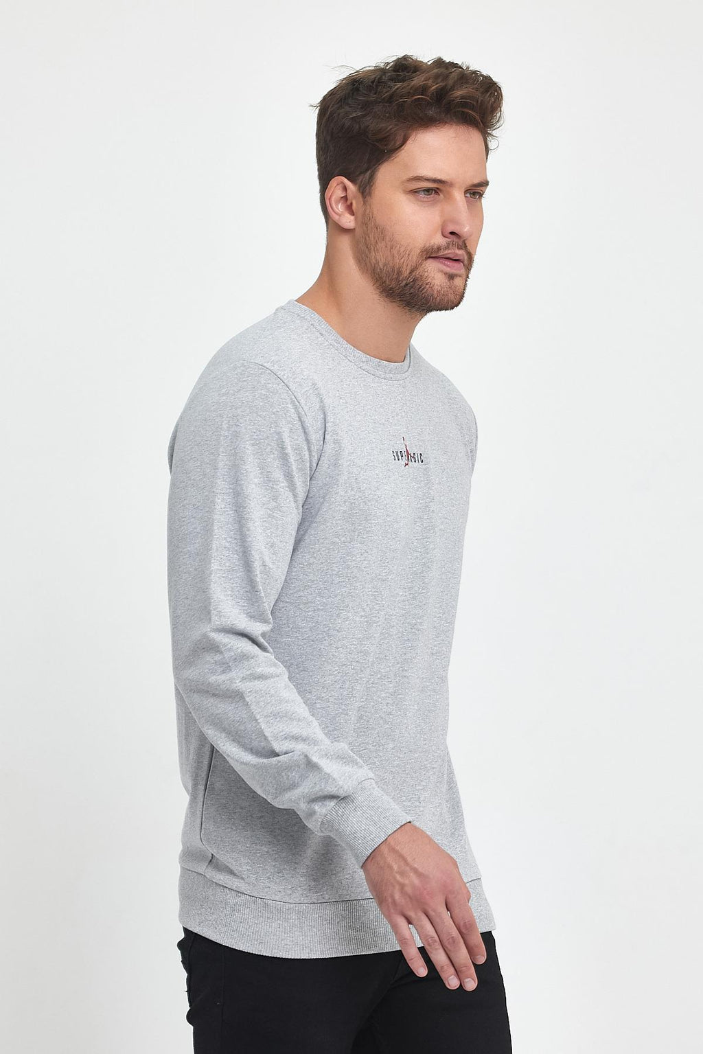 Erkek Gri Bisiklet Yaka Nakış Detaylı Regular Fit Sweatshirt CMRE71-GRİ