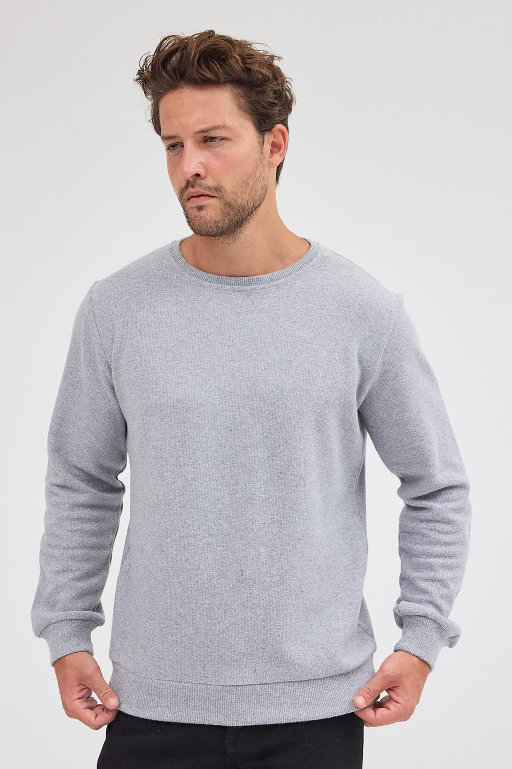 Erkek Gri Fit Normal Kesim Pamuklu Basic Bisiklet Yaka Sweatshirt