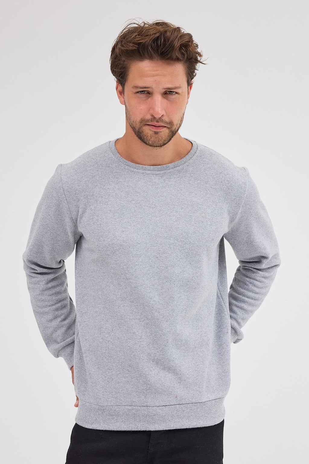 Erkek Gri Fit Normal Kesim Pamuklu Basic Bisiklet Yaka Sweatshirt