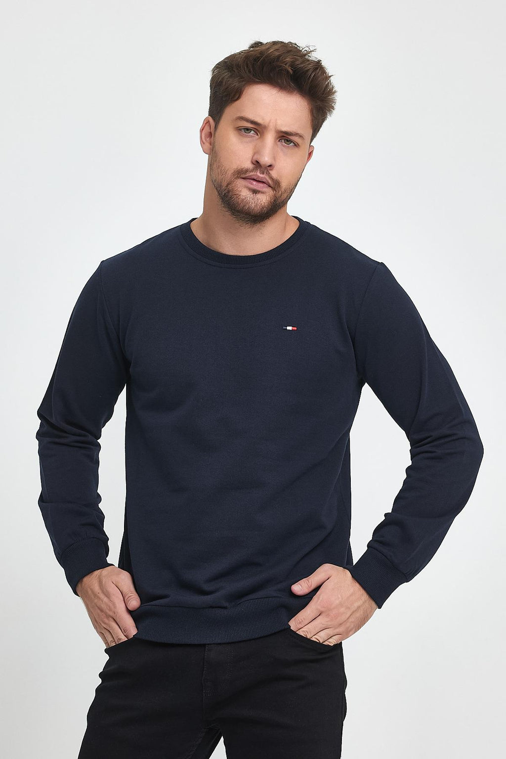 Erkek Lacivert Bisiklet Yaka Nakış Detaylı Regular Fit Sweatshirt